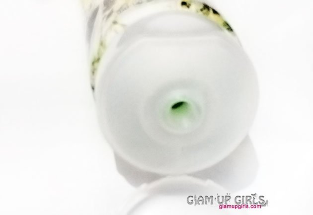 Freeman Kiwi and Yogurt Facial Moisturizing Cleanser - Review