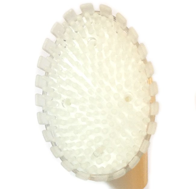 Cleansing Brush of Hemani Sandal Anti-Wrinkle Foaming Face Wash