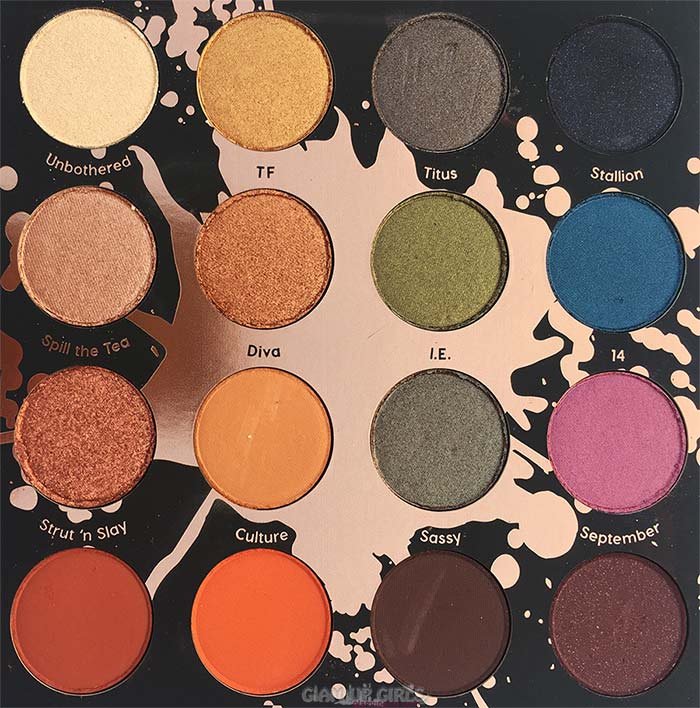 ColourPop Perception Pressed Powder Shadow Palette SHAYLA XColourPop Perception Pressed Powder Shadow Palette Close Up